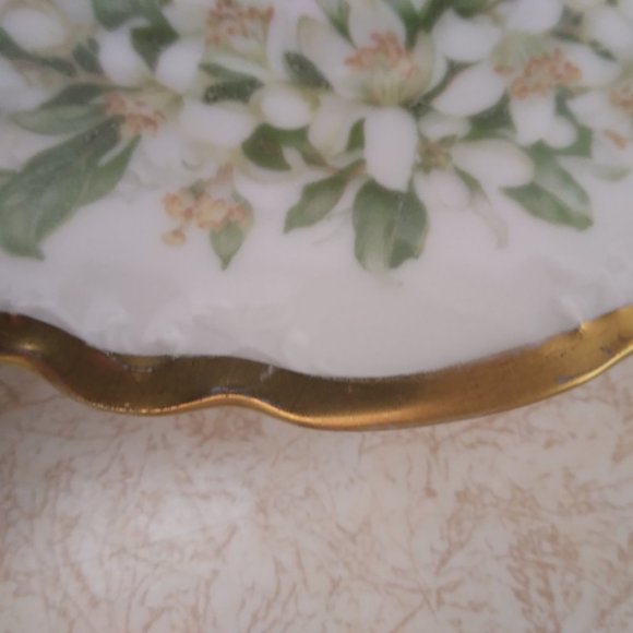 Plate, Vintage, Decorative, Gold Edged, Haviland, Bavaria, Germany - Picture 5 of 6